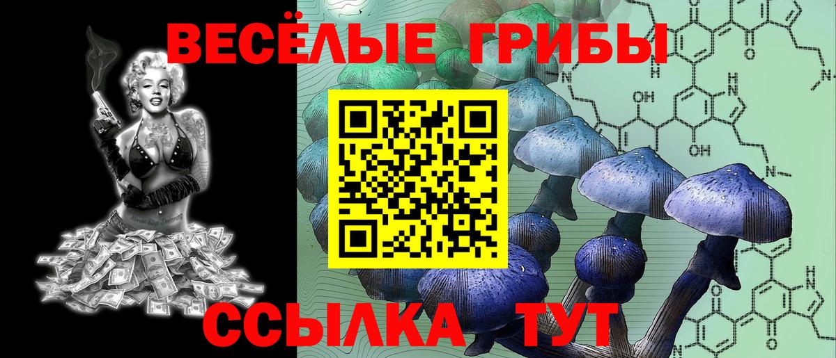 Псилоцибиновые грибы прущие грибы Воронеж